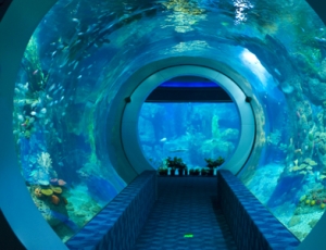 Aquarium LED Lighting