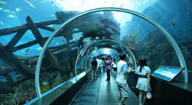 Top Attractions in Sentosa Island Top Attractions in Sentosa Island