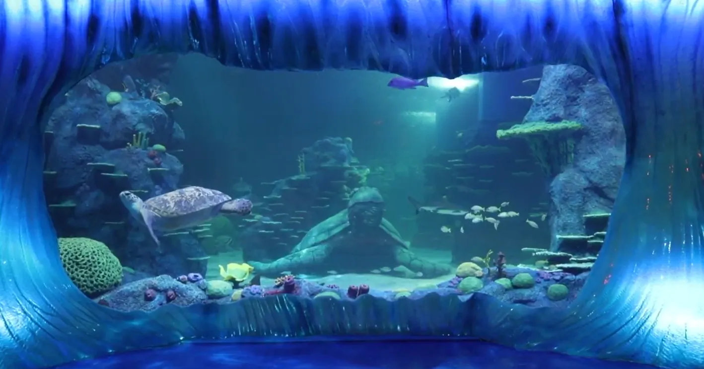 Sydney SEA Life Aquarium — Empyrean LED lighting installation