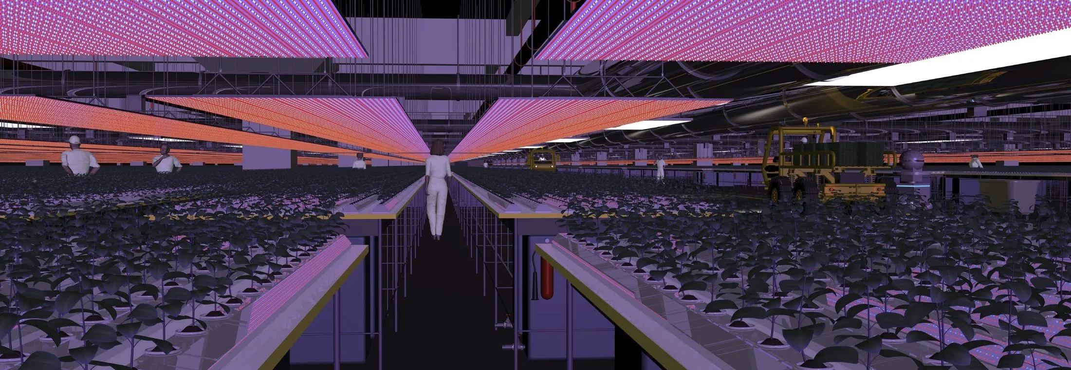 Render of a plant-growing hall for the Australian National University, rows of potted plants under angled red and blue LED grow-light arrays
