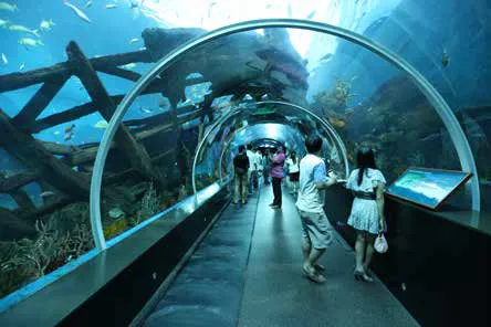 Visitors walking the acrylic viewing tunnel at the Sentosa Resort aquarium, Singapore, lit by custom Empyrean luminaires