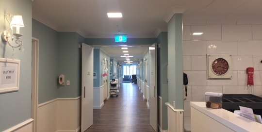 Maranatha - Small LED Panels